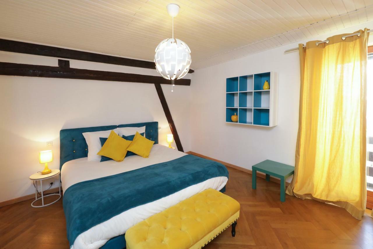 Maison Centre Ville Colmar Jacuzzi Jardin Et Climatisation エクステリア 写真